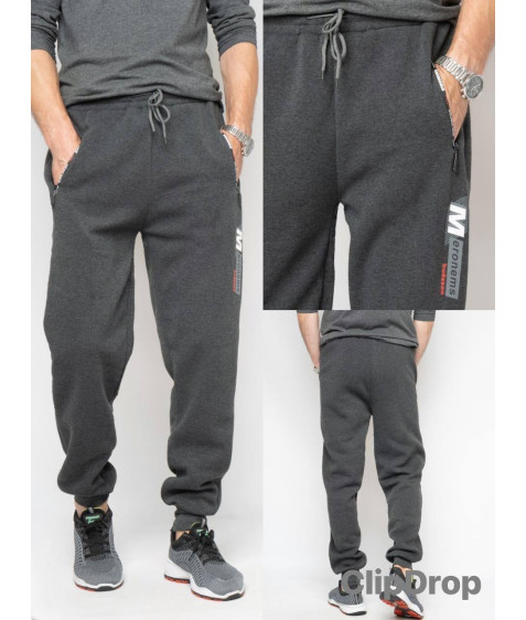 2778 сір. Сп. штани чоловічі ФЛІС М-2XL по 4