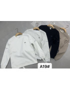 A19 біл Світшот дорослий ФЛІС XL-4XL по 4