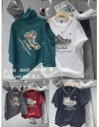 8927/2026 сір Футболка дитяча 140-180 по 5