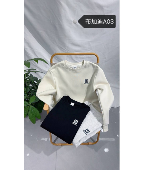 A03 св.сір. Світшот дорослий ФЛІС XL-4XL по 4