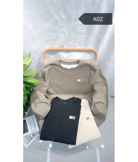 A02 чорн Світшот дорослий ФЛІС XL-4XL по 4