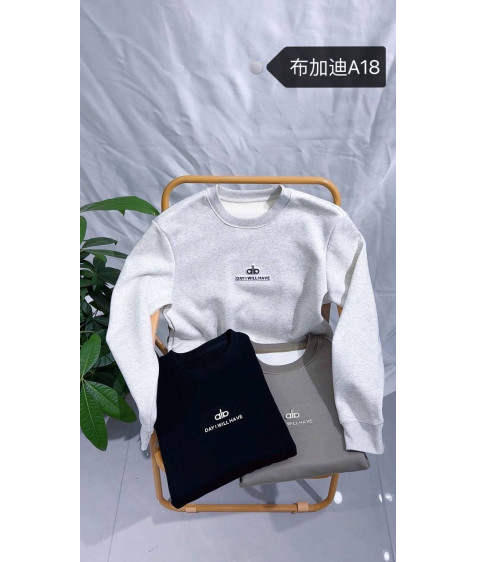 A18 св.сір Світшот дорослий ФЛІС XL-4XL по 4