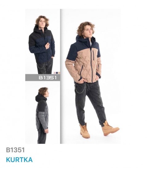 B1351 Куртка мужская S-XL по 12(3цв по 4шт)