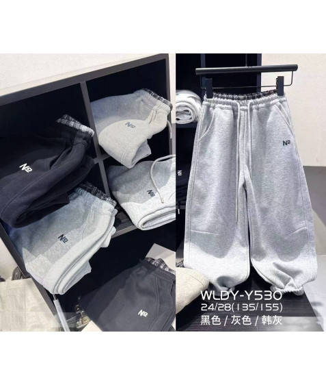 Y530 сір. Сп. штани дитячі ФЛІС 24-28 по 5